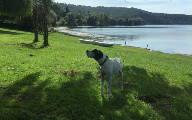 Il Cenacolo Di Sissi