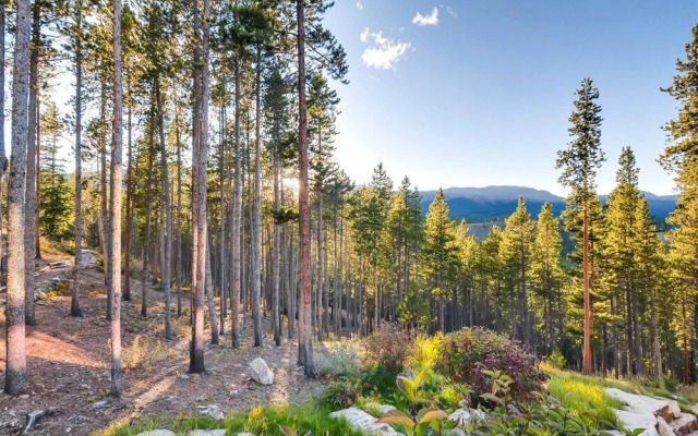 Breck_chalet_du_soleil