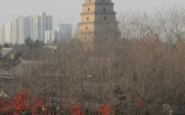 Yanying International Youth Hostel