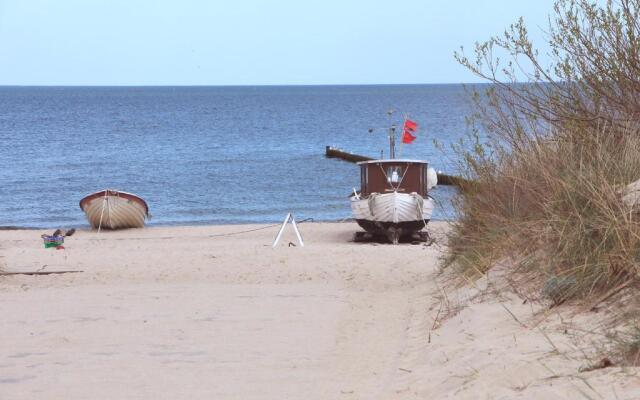 Strandläufer Zempin