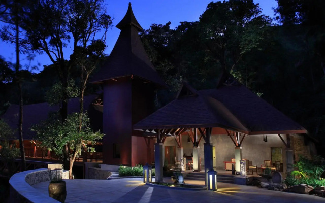 The Tamara Coorg
