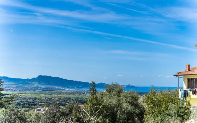 Welcomely - Dei Mille - La vigna 3