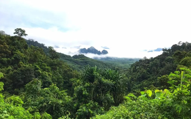 Khao Sok Homestay Resort
