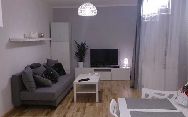 1 bedroom City Center Apartment