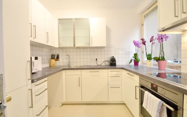 Central Apartment