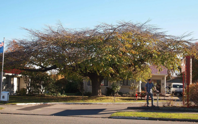 Airport Lodge Motel