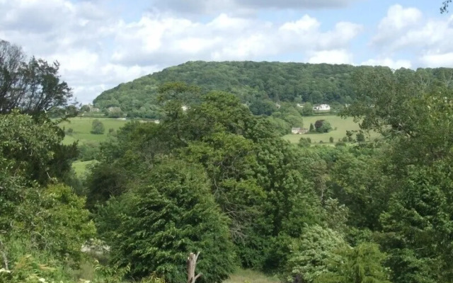 Tibbiwell Lodge - B&B