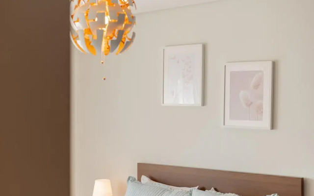 Modern Cedofeita by Homing