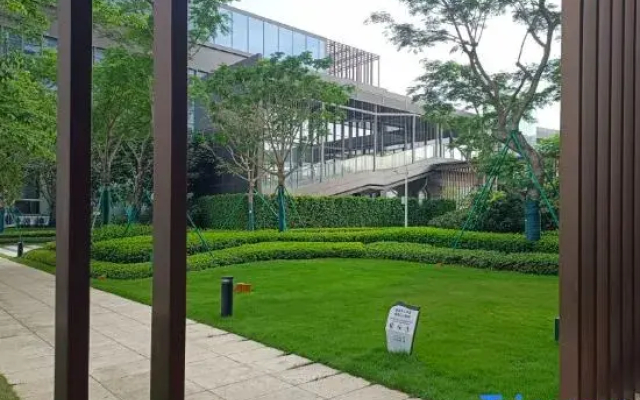 Shenzhen Tingya Apartment