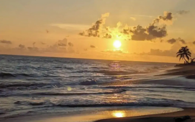 Oceanside Adventures