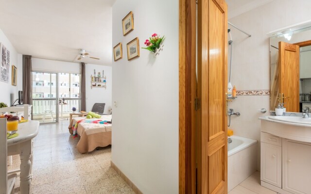 530 Big Studio with Terrace