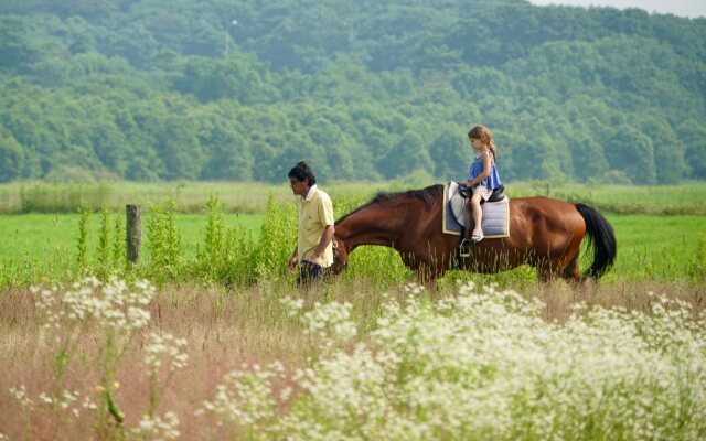 The Orchards Niseko