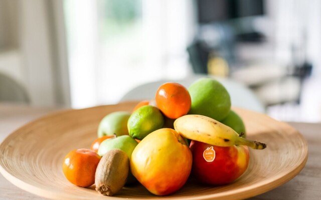 Cozy Chalet in Stegeren With Swimming Pool