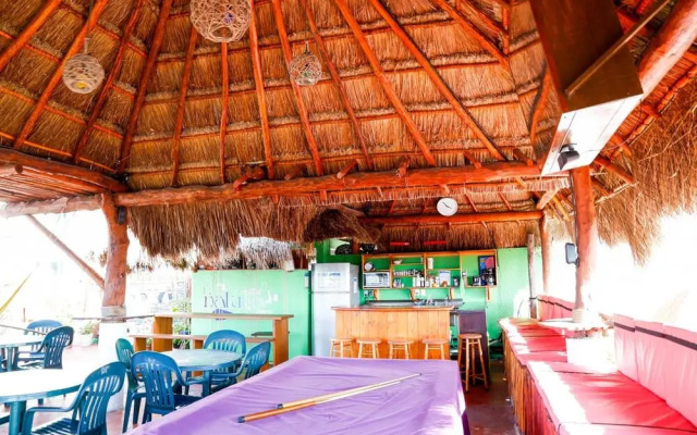 Hostel Natura