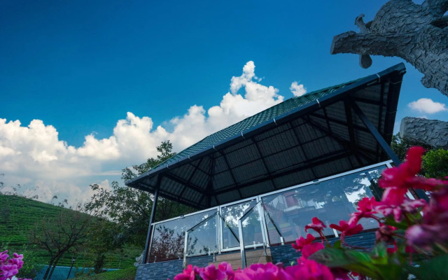 Camelot Resort
