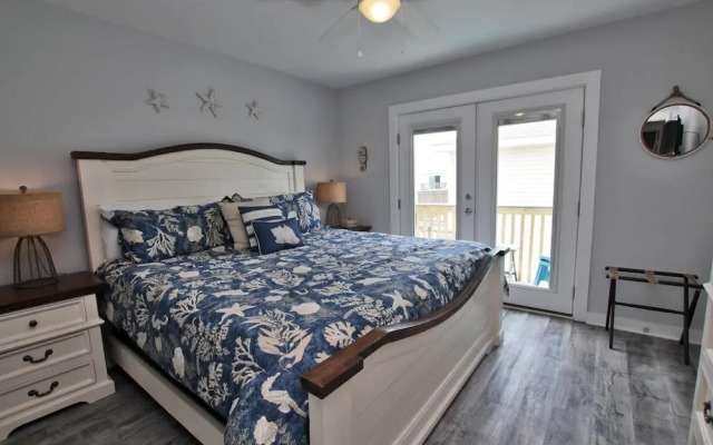 Sand Dollar by Youngs Suncoast