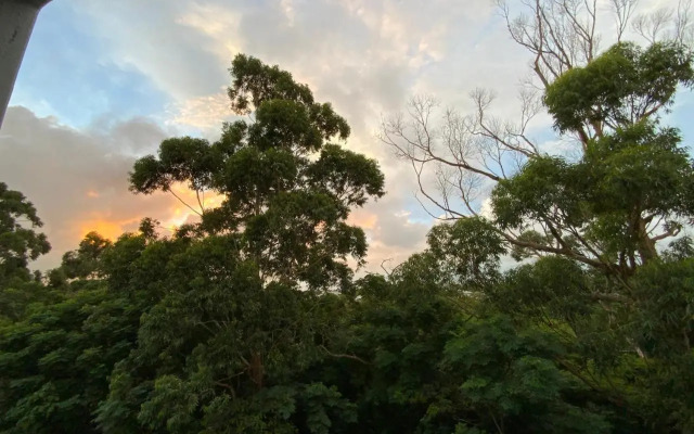 Full Flat by the Forest