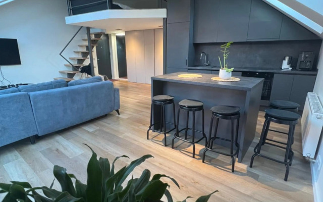 LOFT 1 BD Castle Apartament