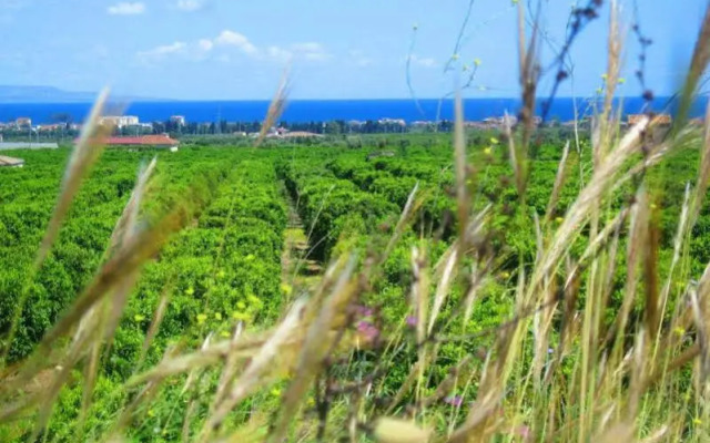 Relais Hotel Palazzo Castriota