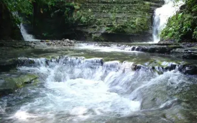 Ecoparque Agua Selva