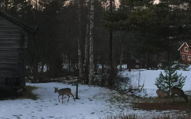 Beautiful 4-5 Persons Cottage in Alvdalen