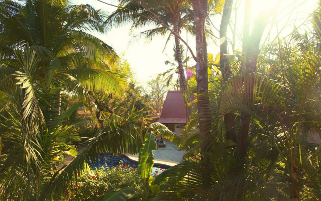Sunset Shack Hotel