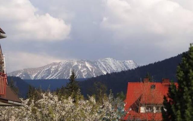 Stefanka