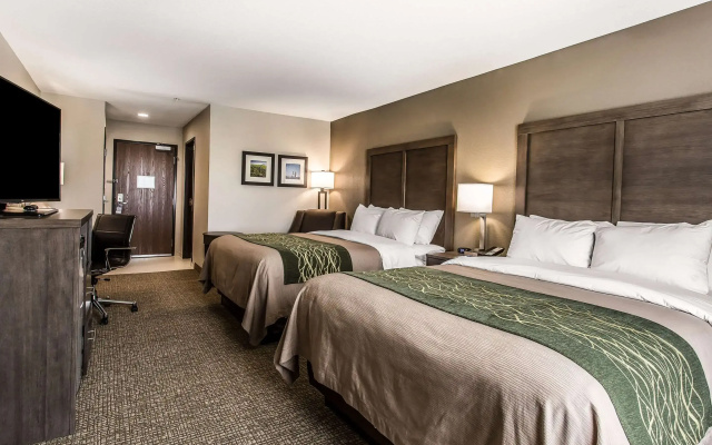 Comfort Inn & Suites Snyder