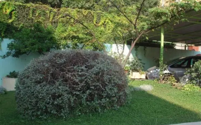 Private Accomodation Madunic