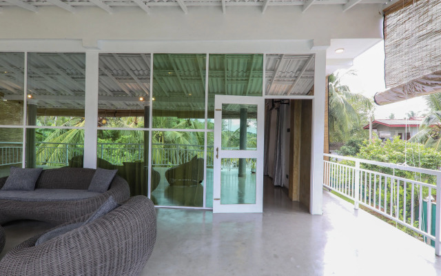 Morning Guest can see Momkeyies and Birds