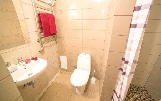 LOFT apartment on Lychakivska street