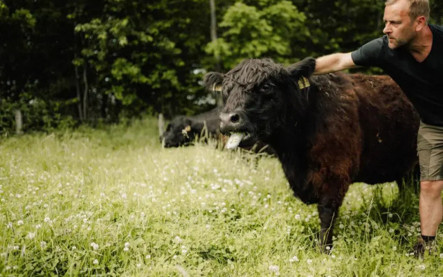 Sommer's "Schöne Aussicht" Restaurant & Suiten