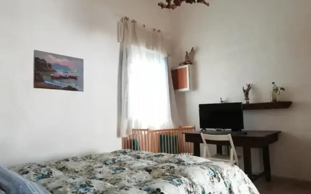 Amelié's House