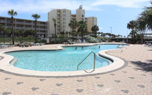 Emerald Dolphin by Surfside VR