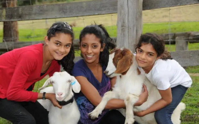 The Tops Organic Retreat