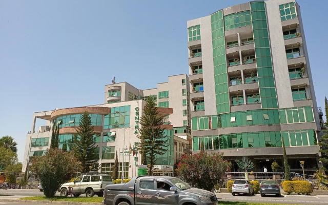 Central Hawassa hotel