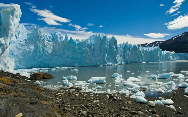Sent Calafate