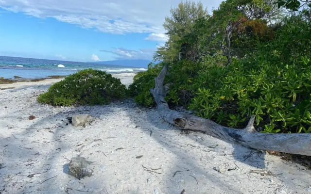 Fare Maeva Moorea