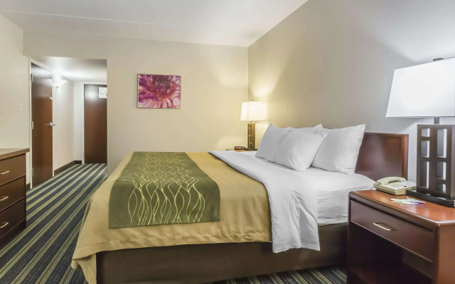 Comfort Inn & Suites