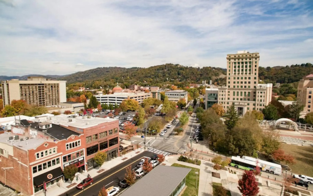 The Daily Condo 201 , Asheville