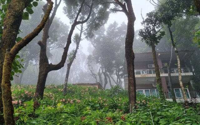 Kemmannugundi Hill Resort by Jungle Lodges