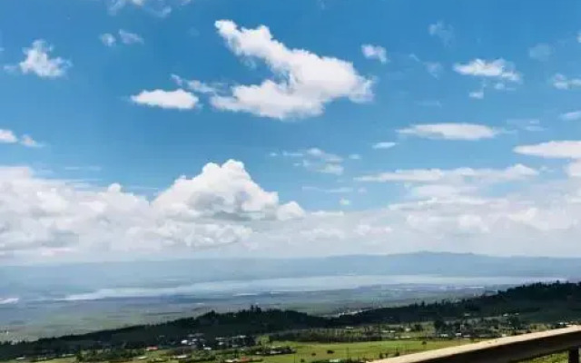 Kambi Amani
