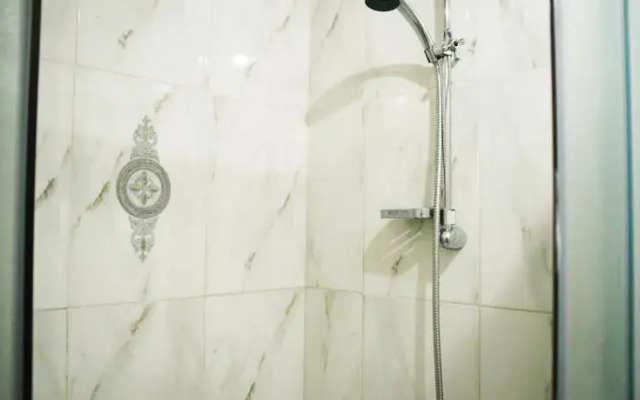 Classy Apartment Lviv