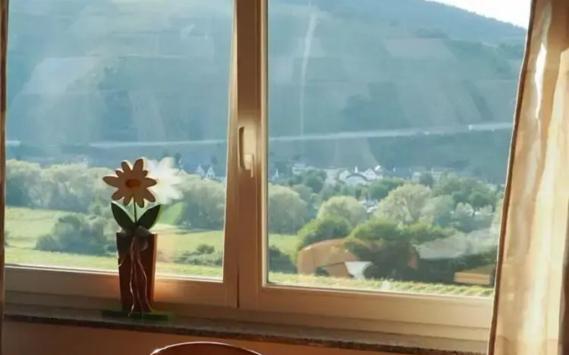 Weingut & Gästehaus Andreas Erz