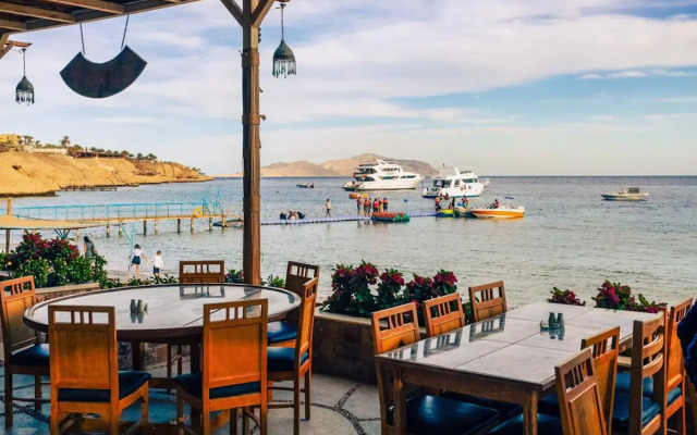 Umbi Sharks Bay Diving Village