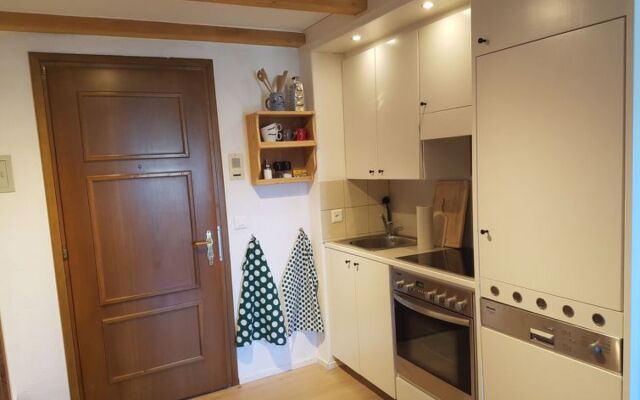 Apartment 584 Silvaplana-Surlej