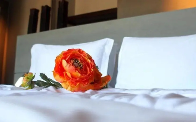 Chic Hotel Boutique