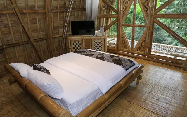 The Osing Bamboo - A Liberta Collection