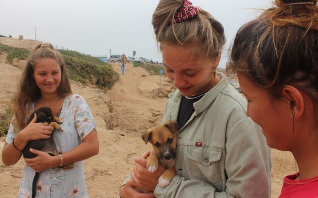 Surf Safari Morocco - Hostel