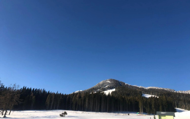 Appartement Schwab Ski in & Out